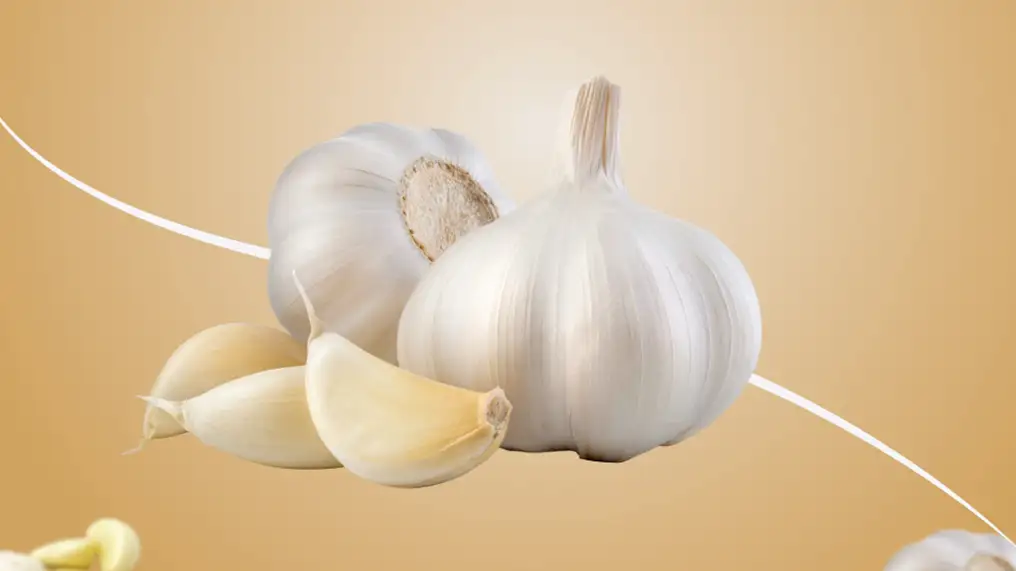 Fresh Garlic
