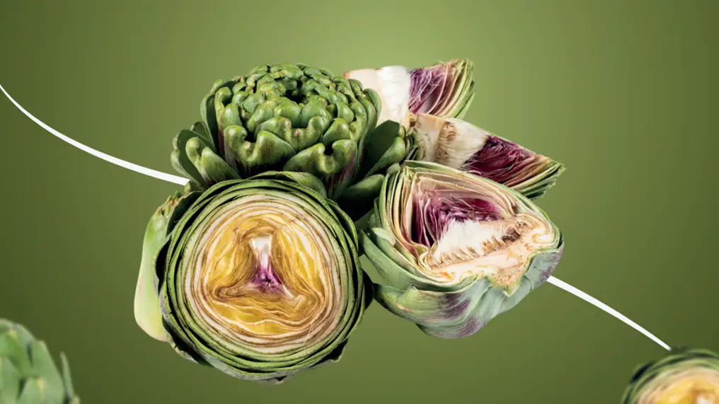 Fresh Artichoke