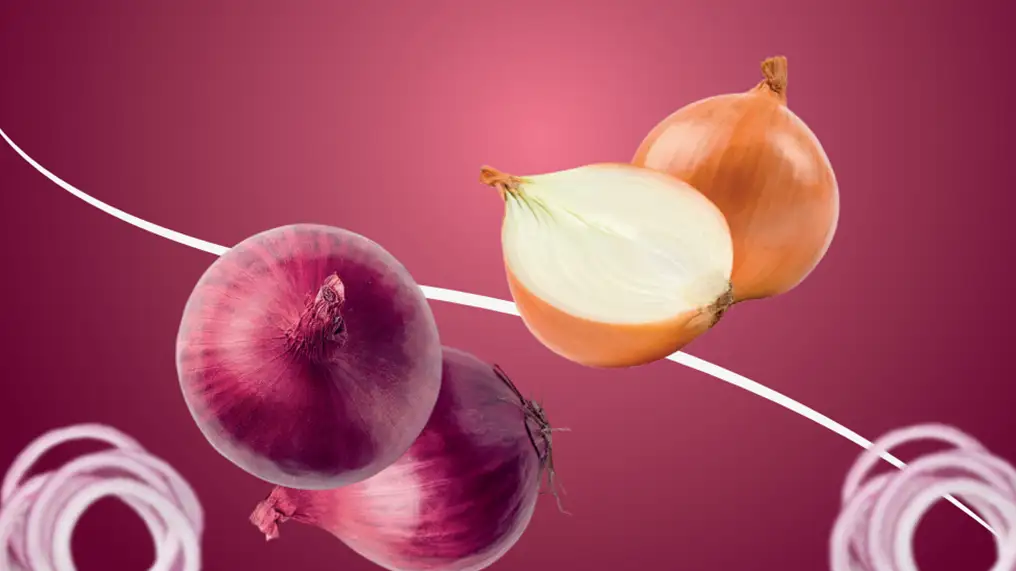Fresh Onions