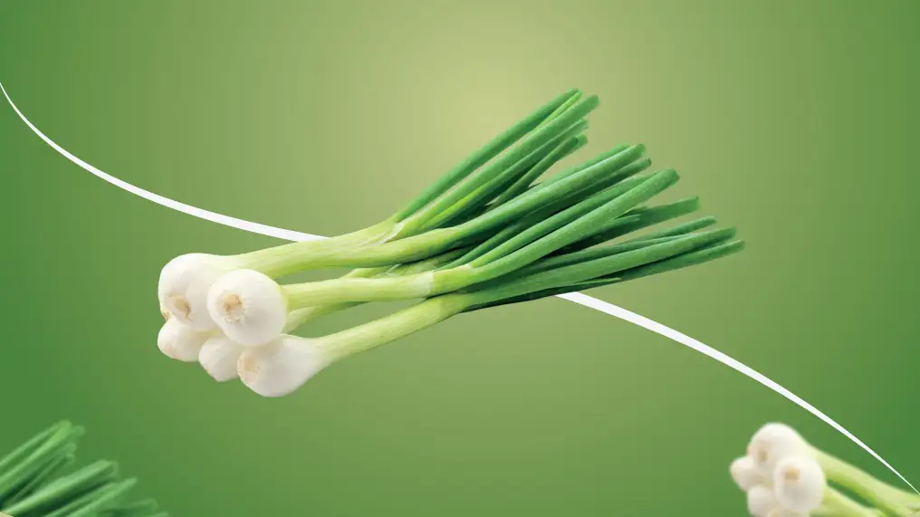 Spring Onions