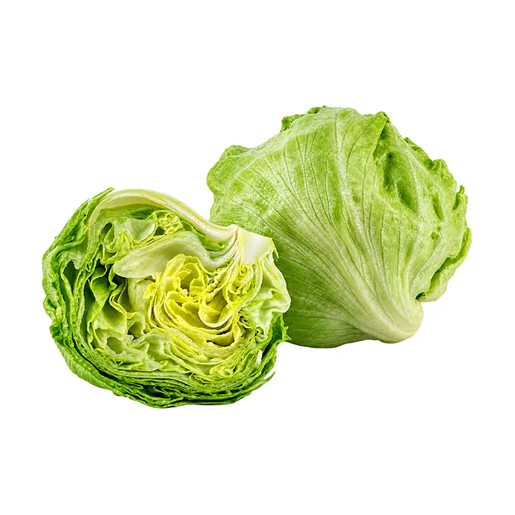 Iceberg Lettuce